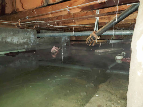 Trusted ID Water damage restoration Experts