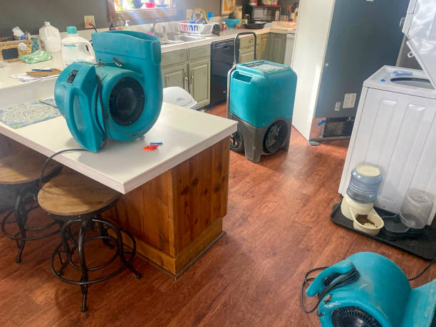 Best Water damage restoration services  in Rigby, ID