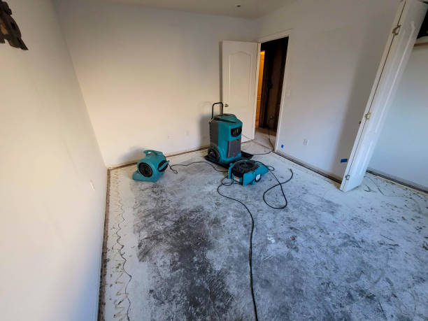 Best Flood restoration services  in Rigby, ID
