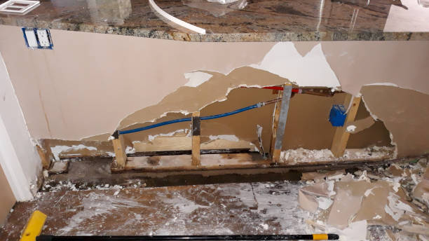 Best Water damage restoration near me  in Rigby, ID