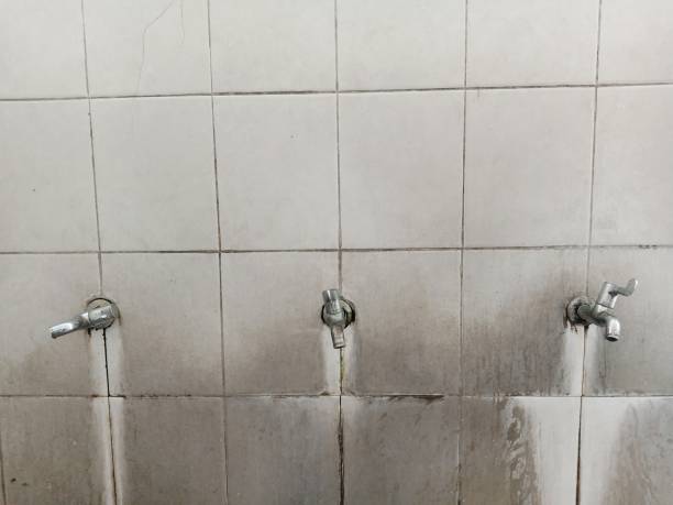 Best Emergency water extraction  in Rigby, ID