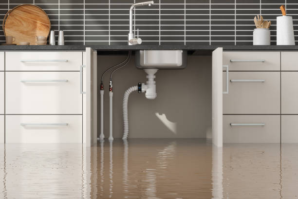 Best Flood damage cleanup  in Rigby, ID