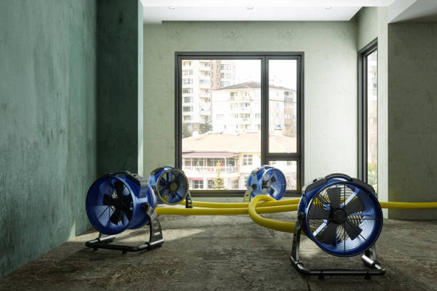 Best Flood restoration services  in Rigby, ID